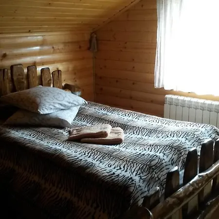 Casa de hóspedes Viktor Slavske
